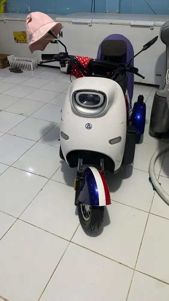 Sepeda listrik 3 roda Pacific crosser