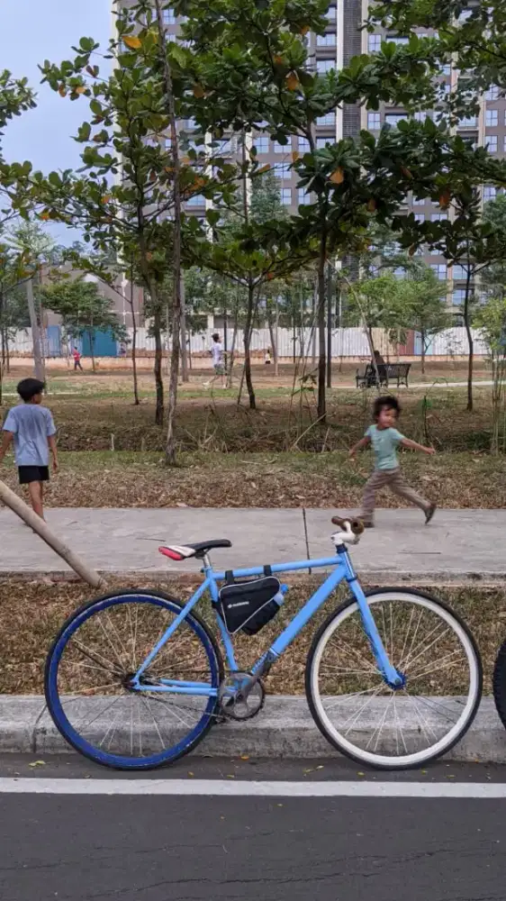 Fixie soloist 02