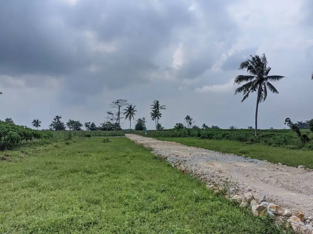 TANAH Strategis Murah DI ITERA  Jati Agung