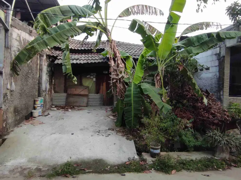 rumah bahan super murah
