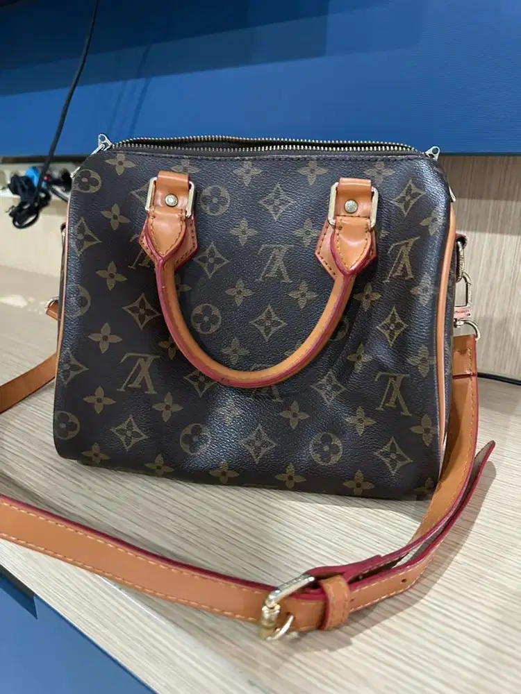 Tas LV preloved