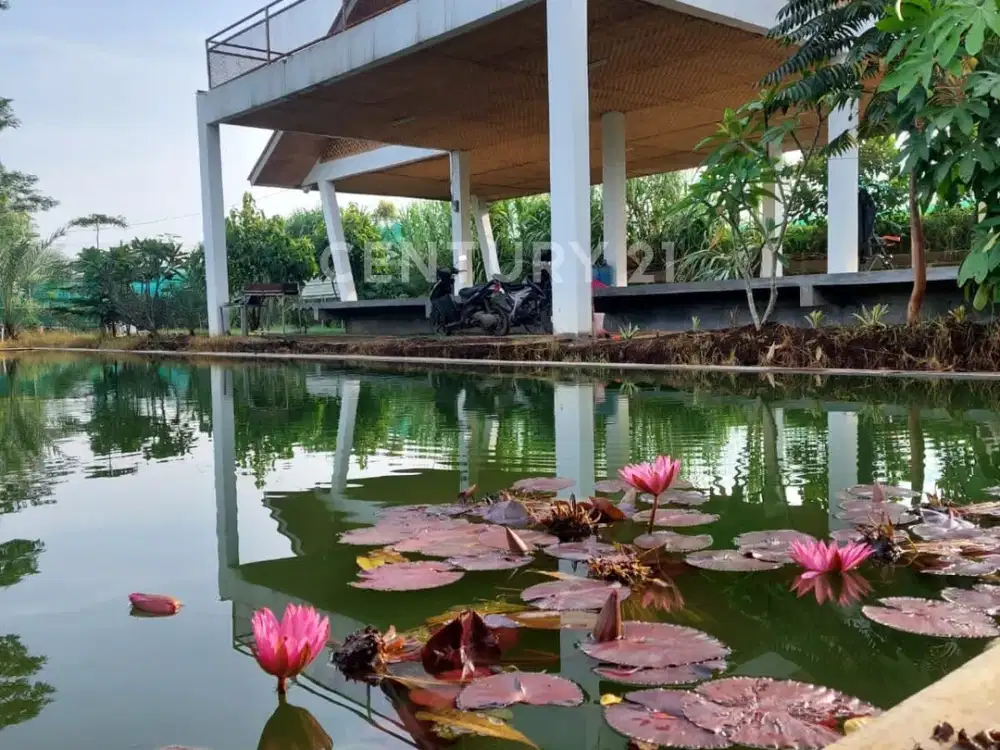 Di Jual Murah Tanah + Bangunan Villa Dengan View Pegunungan.