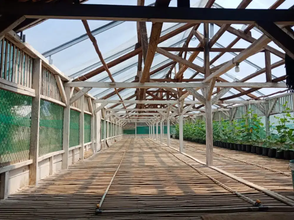 Disewakan Greenhouse strategis