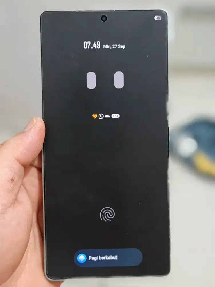 Samsung s25U 256Gb ex sein