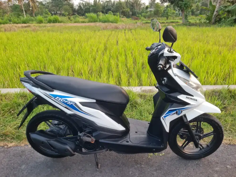 BEAT ECO 2019 SUPER FRESH