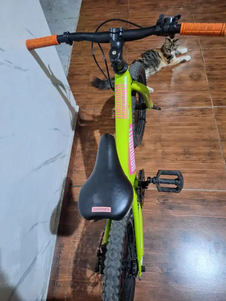Sepeda gunung anak Dominate A-One 16