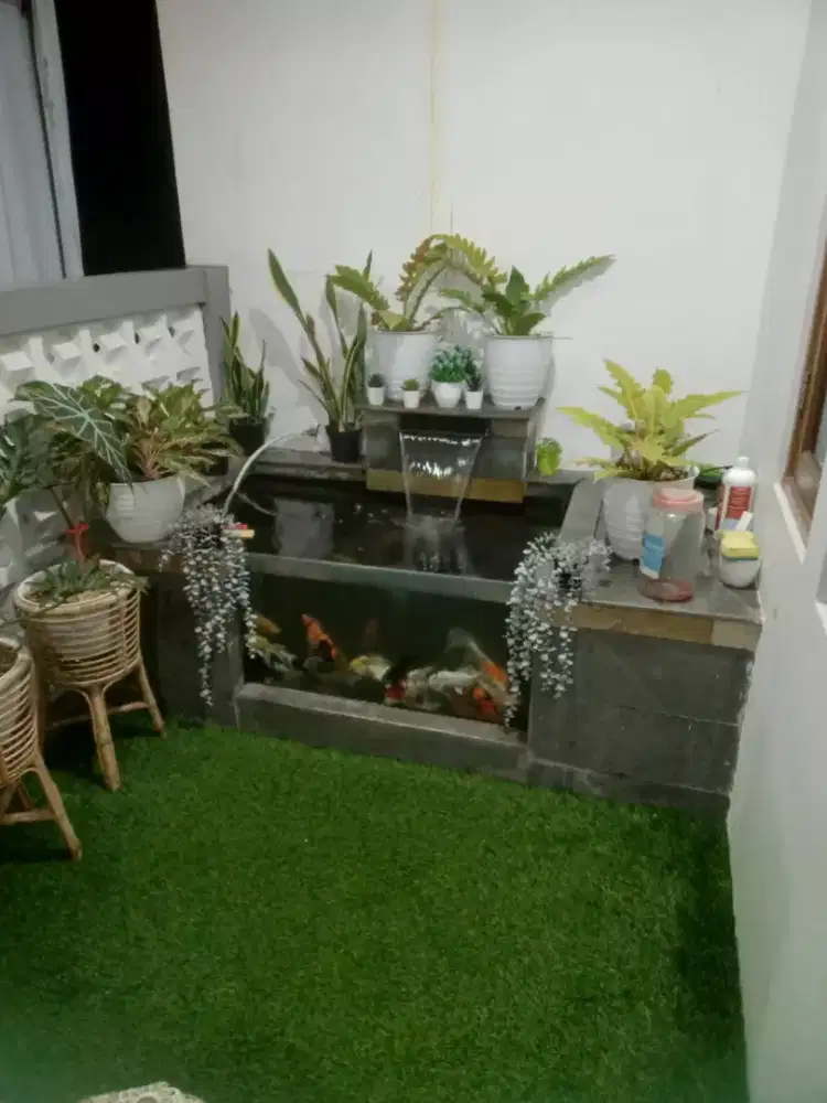 Jasa pembuatan kolam koi,,