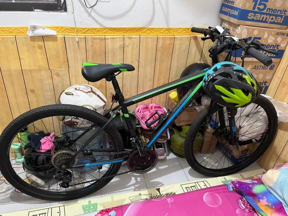 Sepeda Polygon Monarch M3 - Bekas