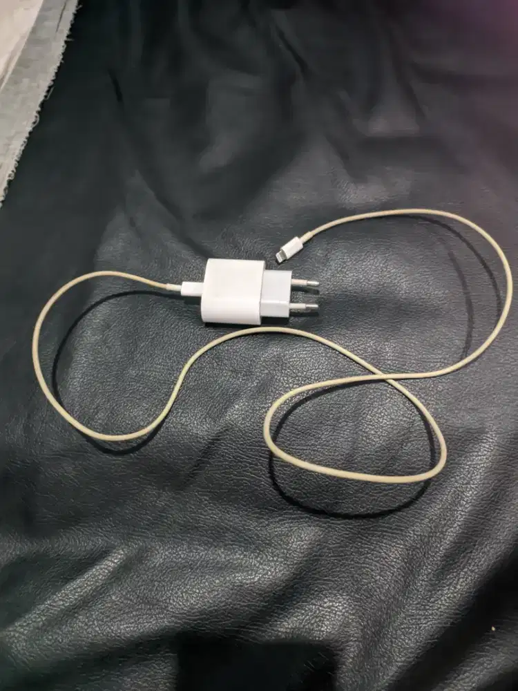 Charger iPhone Lightening 20 Watt Ori