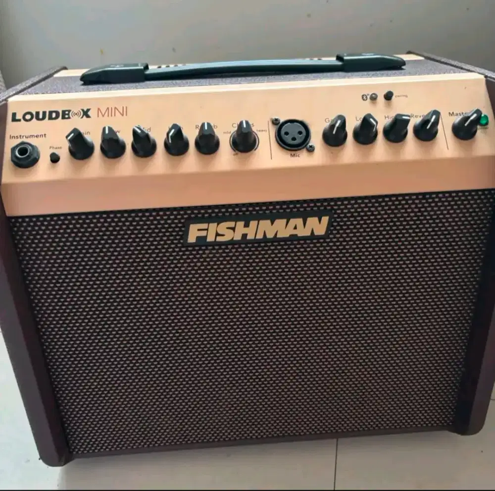 Sound Ampli Gitar Fishman Loudbox Mini Bluetooth