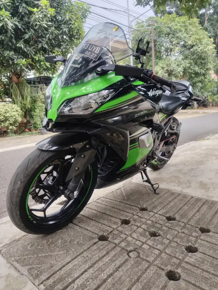 Kawasaki 250 f1 2017 Disc brake