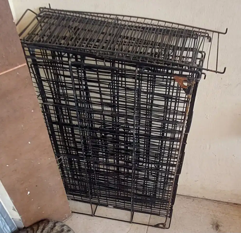 Kandang kucing tingkat