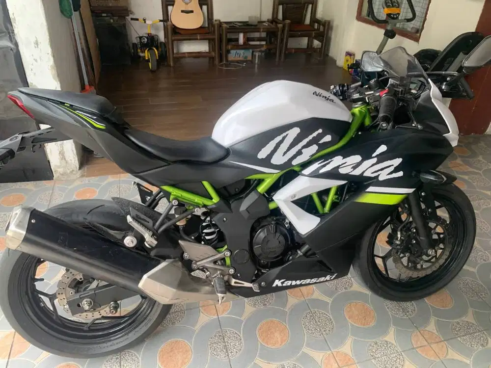 Ninja 250 SL Good Condition (2020)