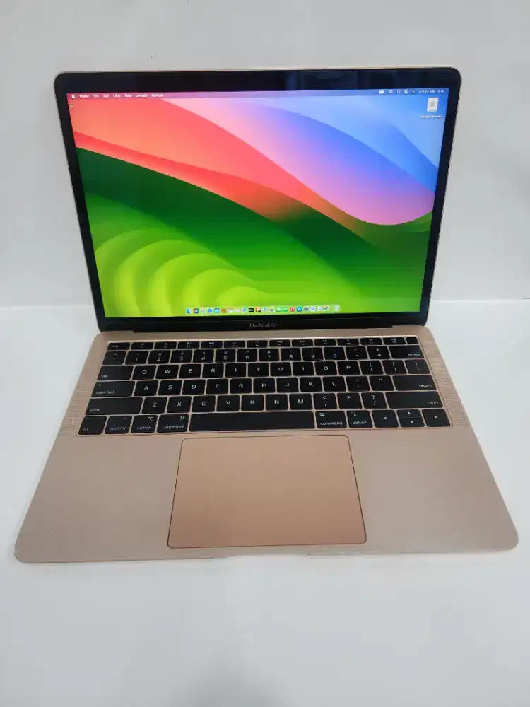 Macbook Air 2018 8/256 rose gold