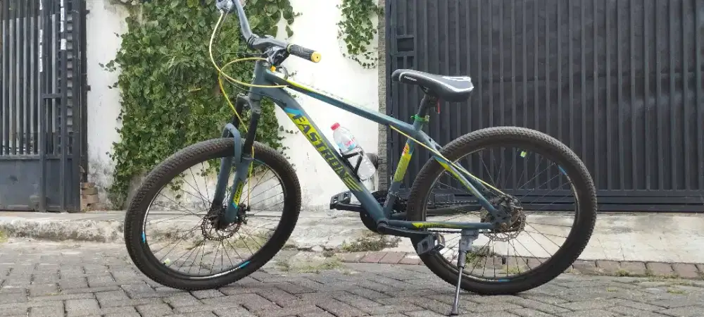 sepeda gunung mtb fastron 260 dt