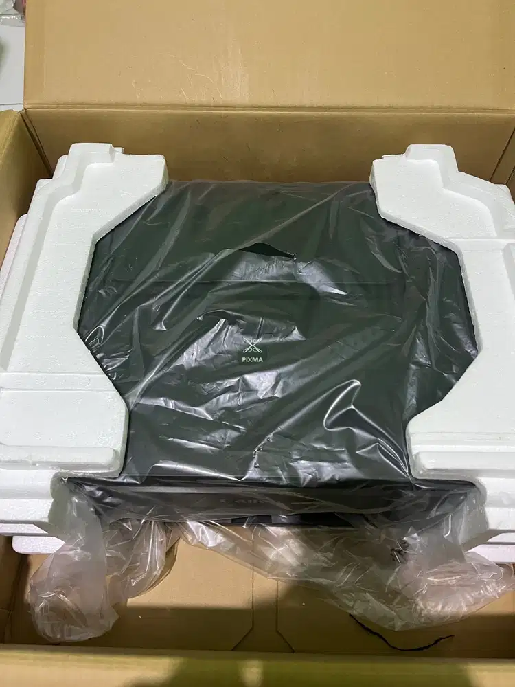 Printer Canon g2010