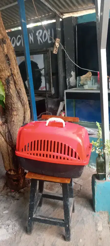 Pet cargo preloved