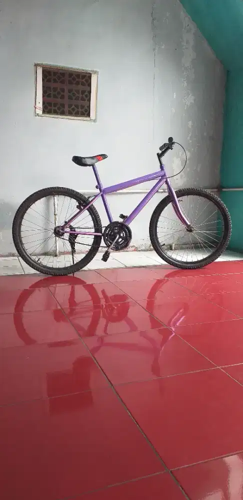 Sepeda Lady Ban 24