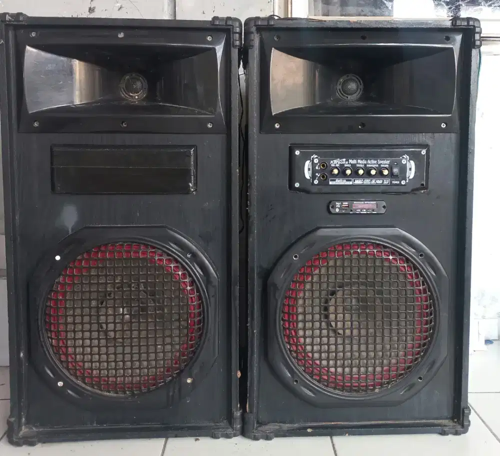 Speaker 12 inch