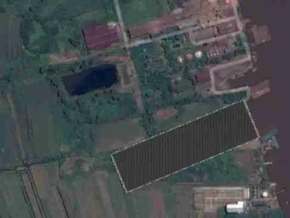 Dijual Cepat Tanah Luas Di Pinggir Barito Jelapat Kalimantan Tengah