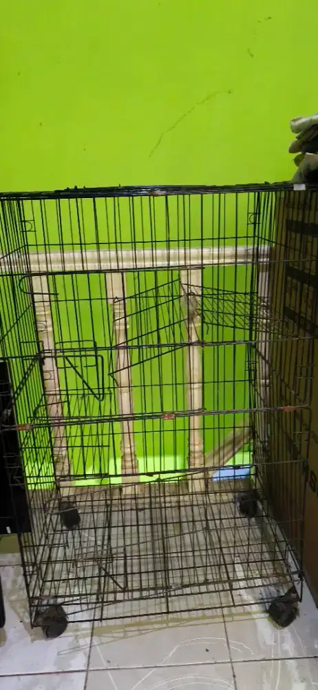 Dijual kandang kucing 3 tingkat bonus pet cargo jumbo