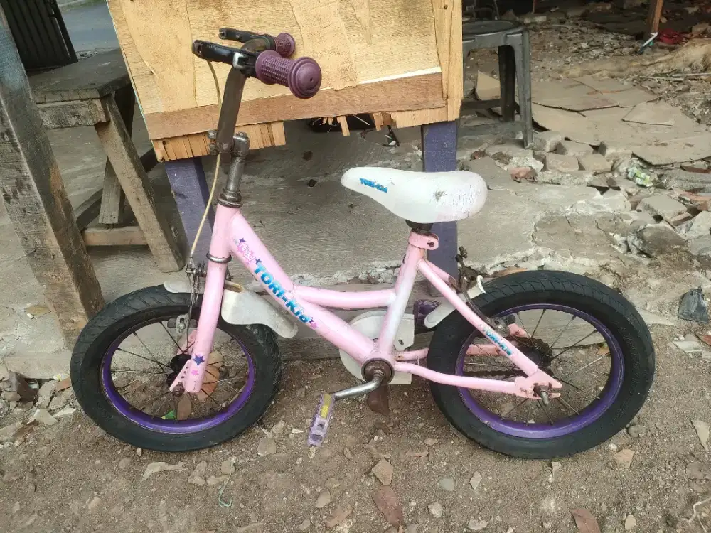 Sepeda anak merek tori -kid 14