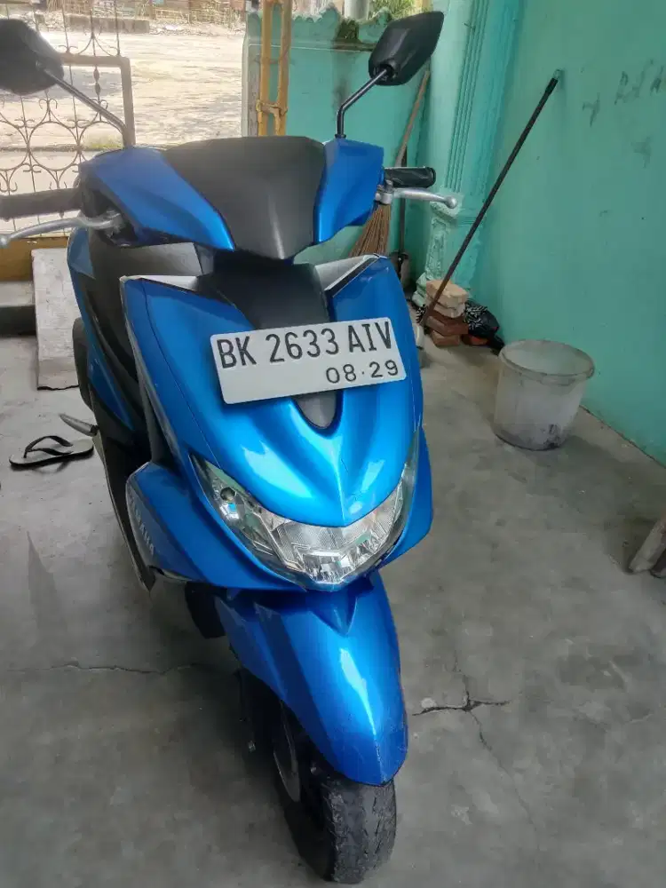 2019 YAMAHA FreeGo