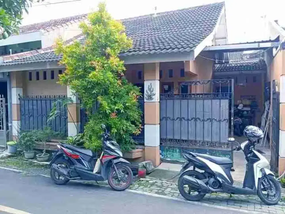 rumah