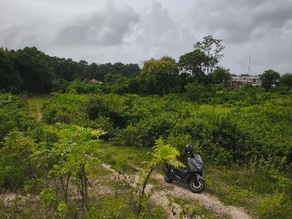 dijual tanah97 are idr 300 juta per are dekat pantai Pandawa nusa dua