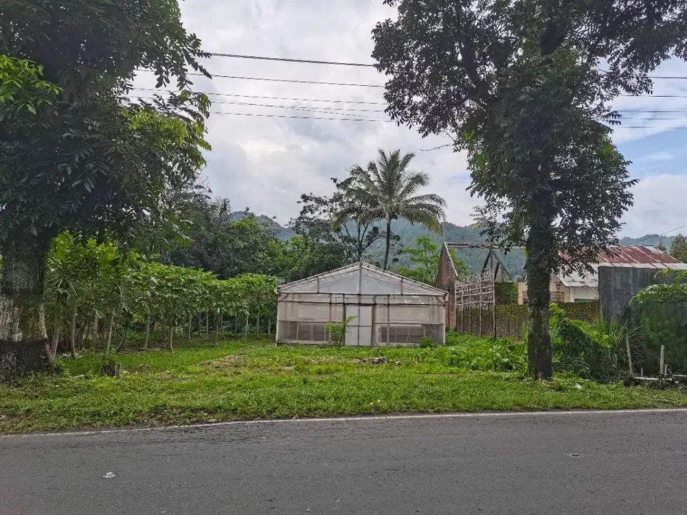 Tanah Randudongkal Pemalang
