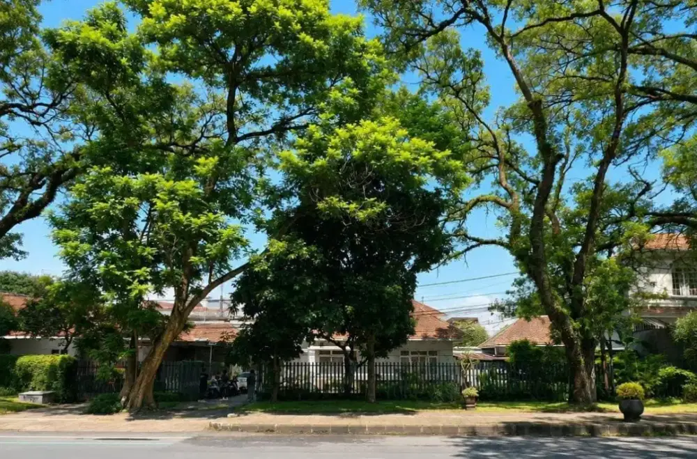 Pusat Kota‼️Rumah Vintage Ijen Malang