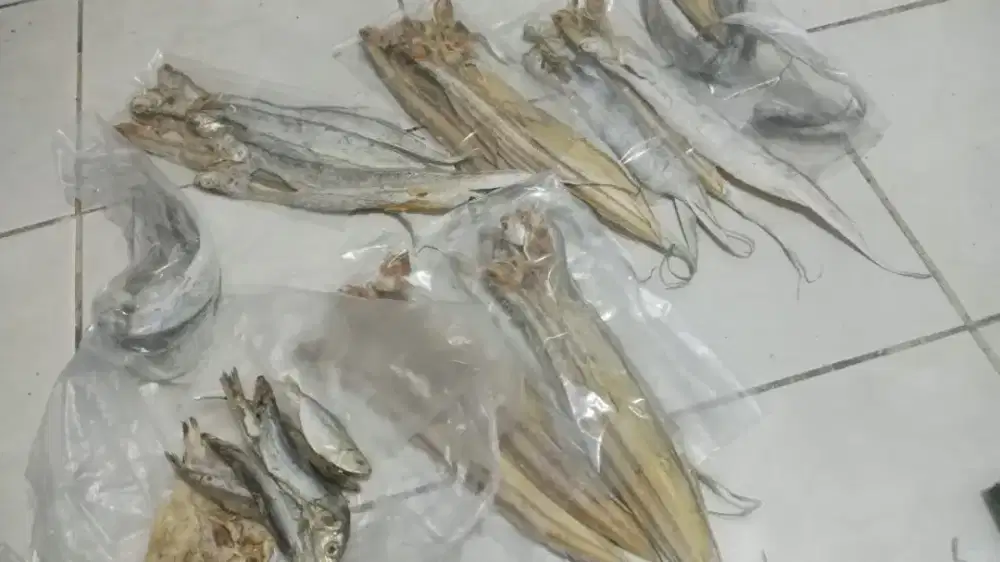 Di jual ikan asin
