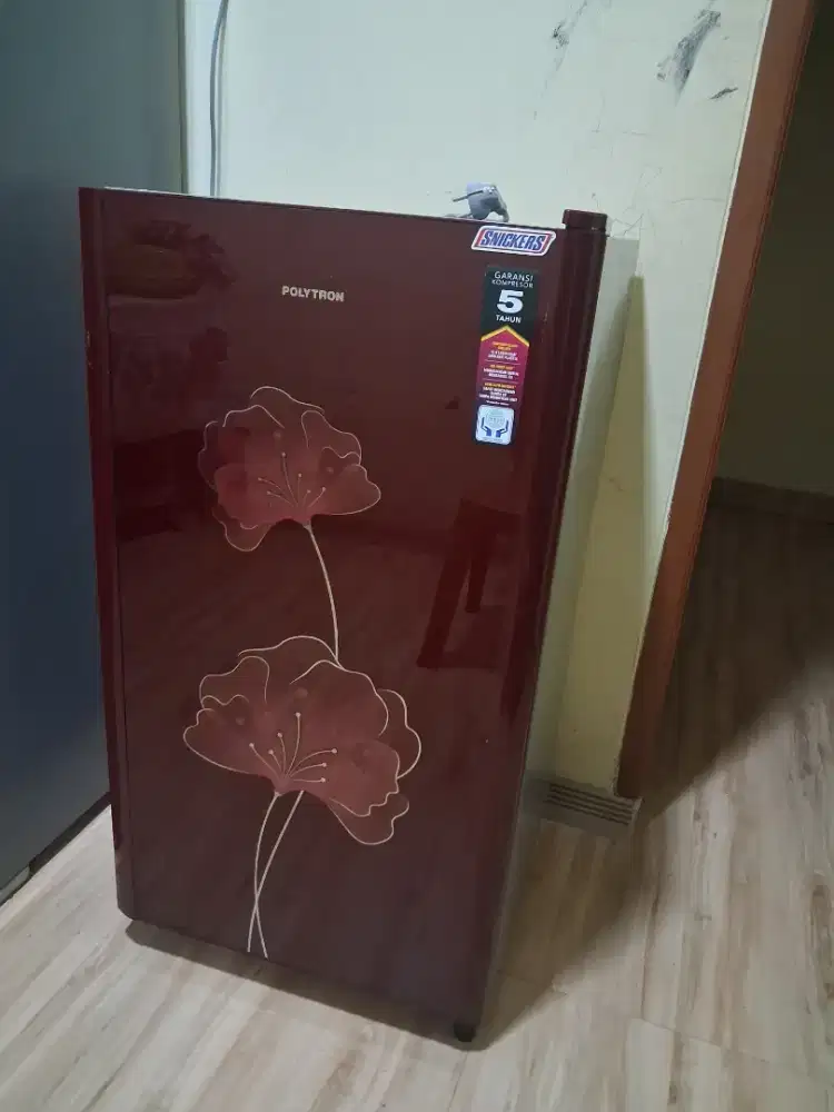 Kulkas Polytron 1 Pintu