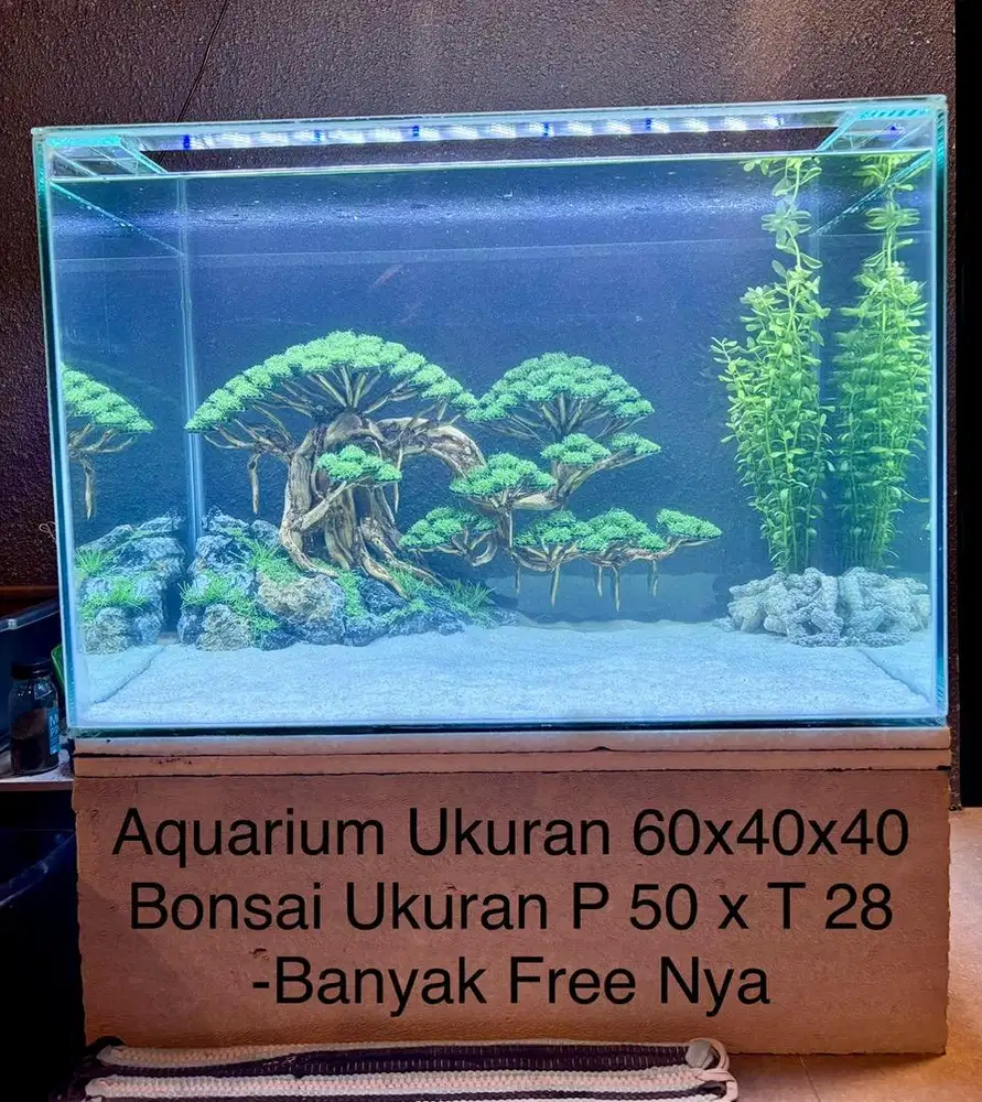Aquarium + Bonsai Aquascape Borongan
