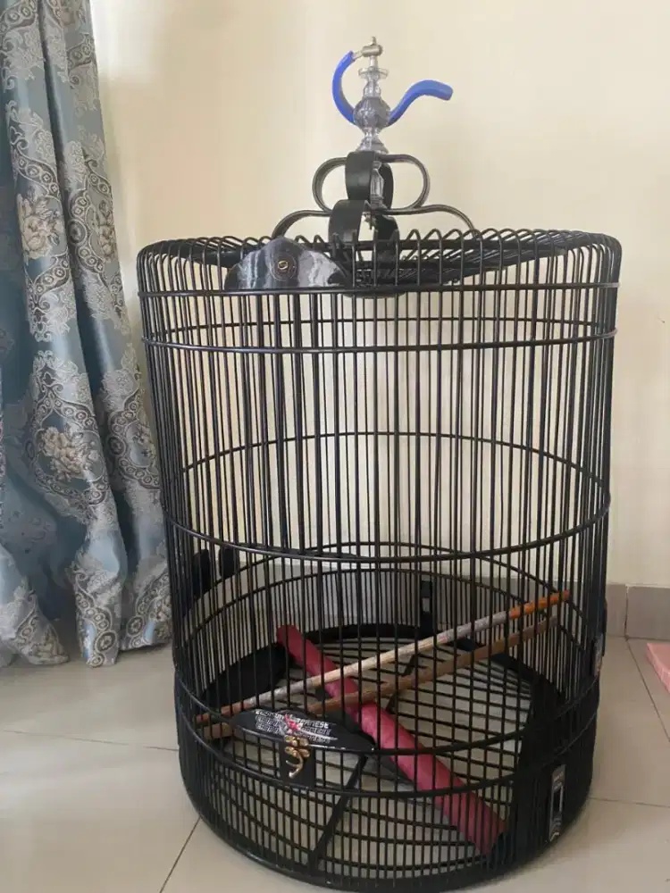Kandang Ebod No 2