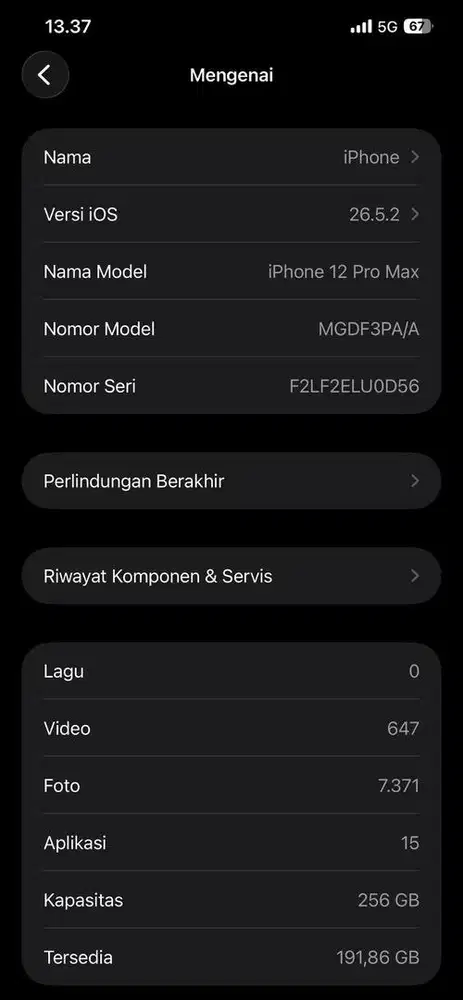 12 pro max blue