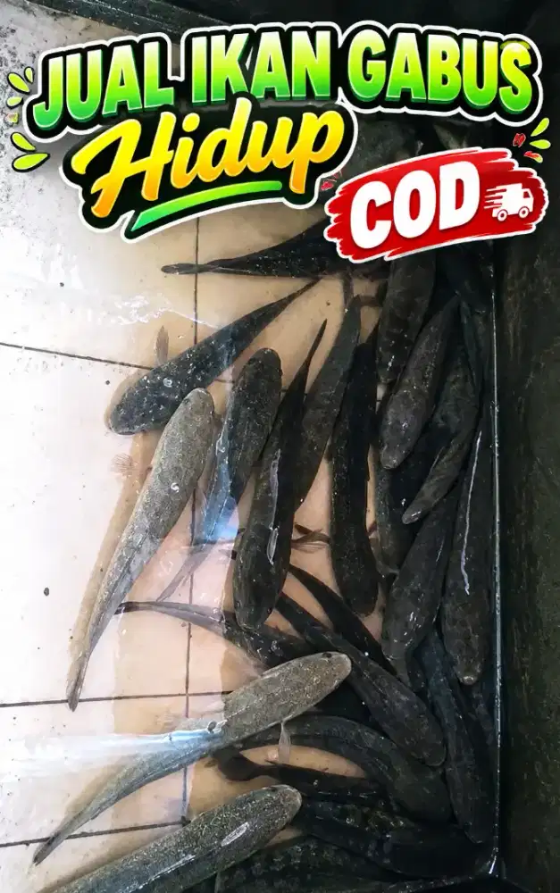 Makanan pemulihan