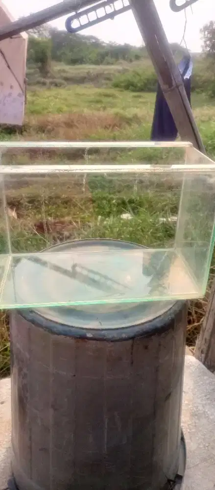 Akuarium buat ikan hias