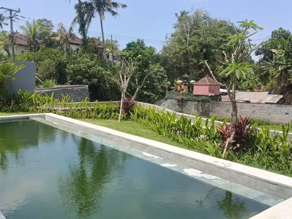 FOR SALE  RENT  BRNAD NEW VILLA PRIVAT BIG GARDEN FULLY FURNISHED DI TEGALALANG UBUD