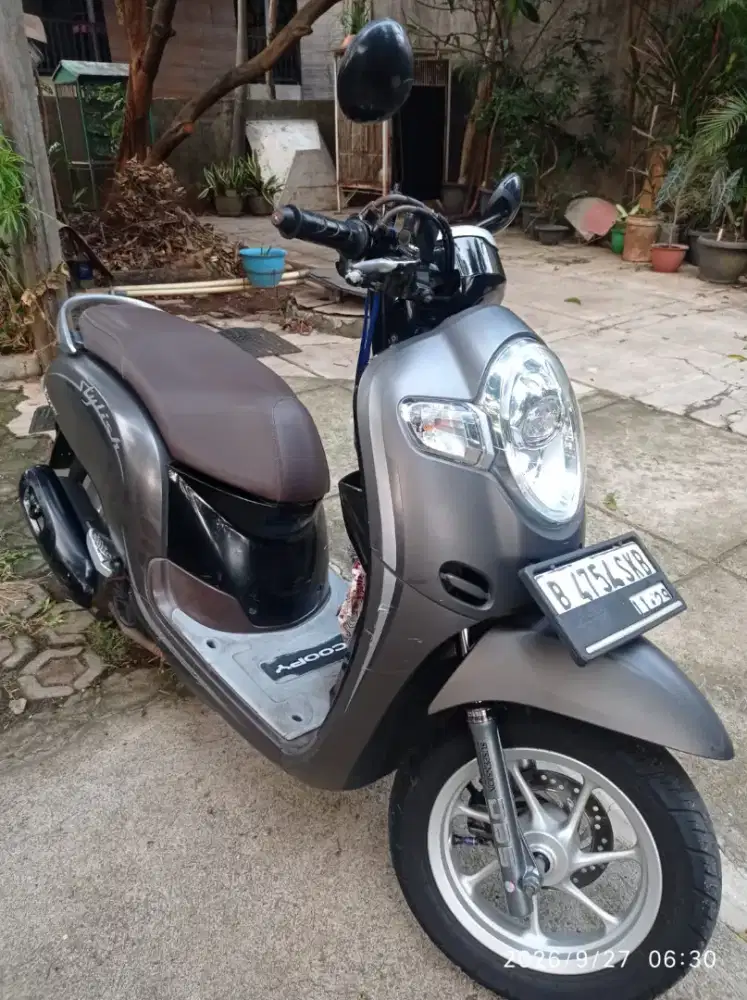 Honda Scoopy Stylish