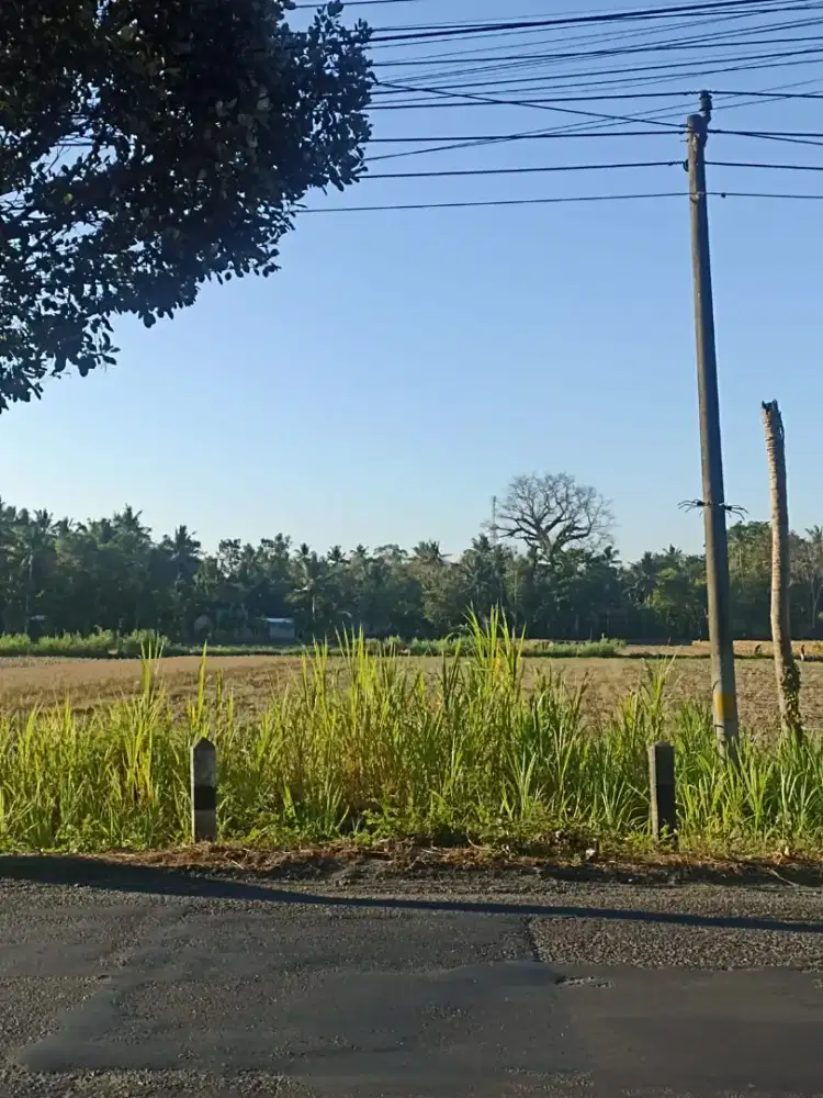 Di jual tanah di pinggir jalan deandles