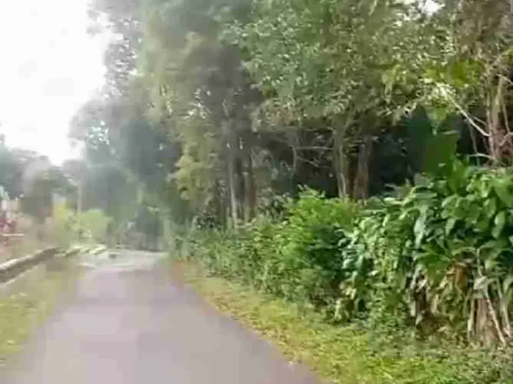 tanah darat kebun