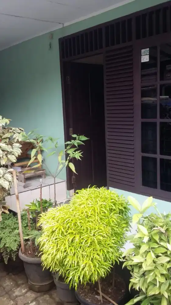 Dijual Cepat Rumah