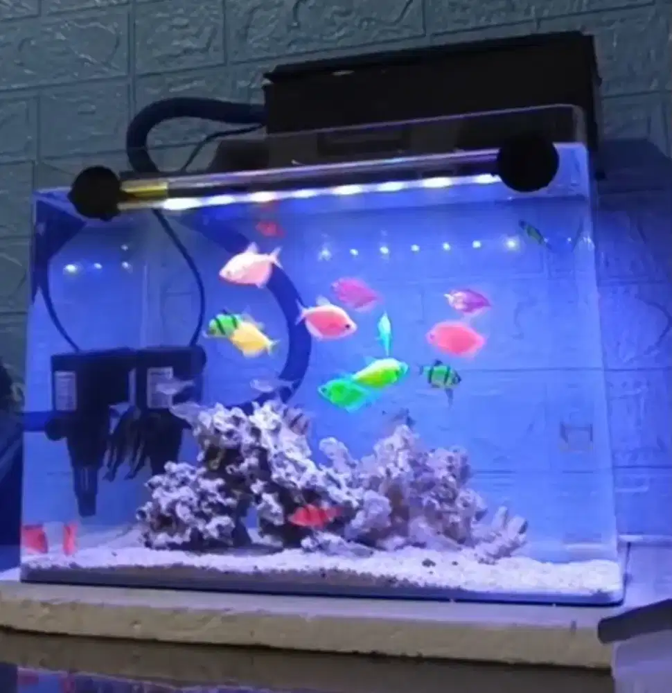 Aquarium Nuansa Laut Siap Pajang