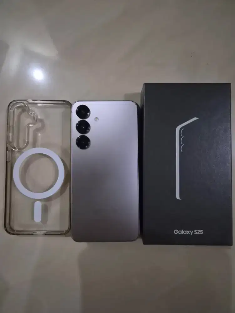 Samsung Galaxy S25