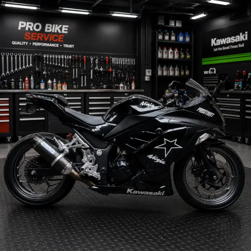 Kawasaki ninja 250fi 2016 ABS modif