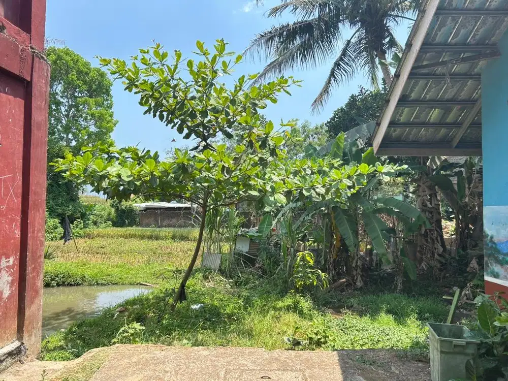 Dijual tanah sawah dan kolam luas 815M