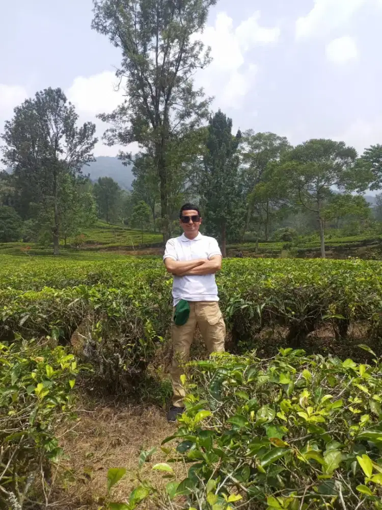 Job freelance apa aja yg penting dpt duit