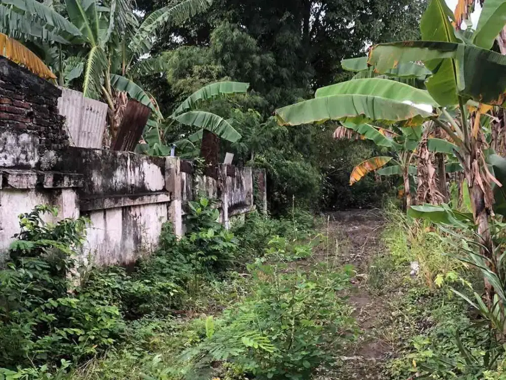 Dijual tanah gayung kebonsari lokasi strategis dekat AYani