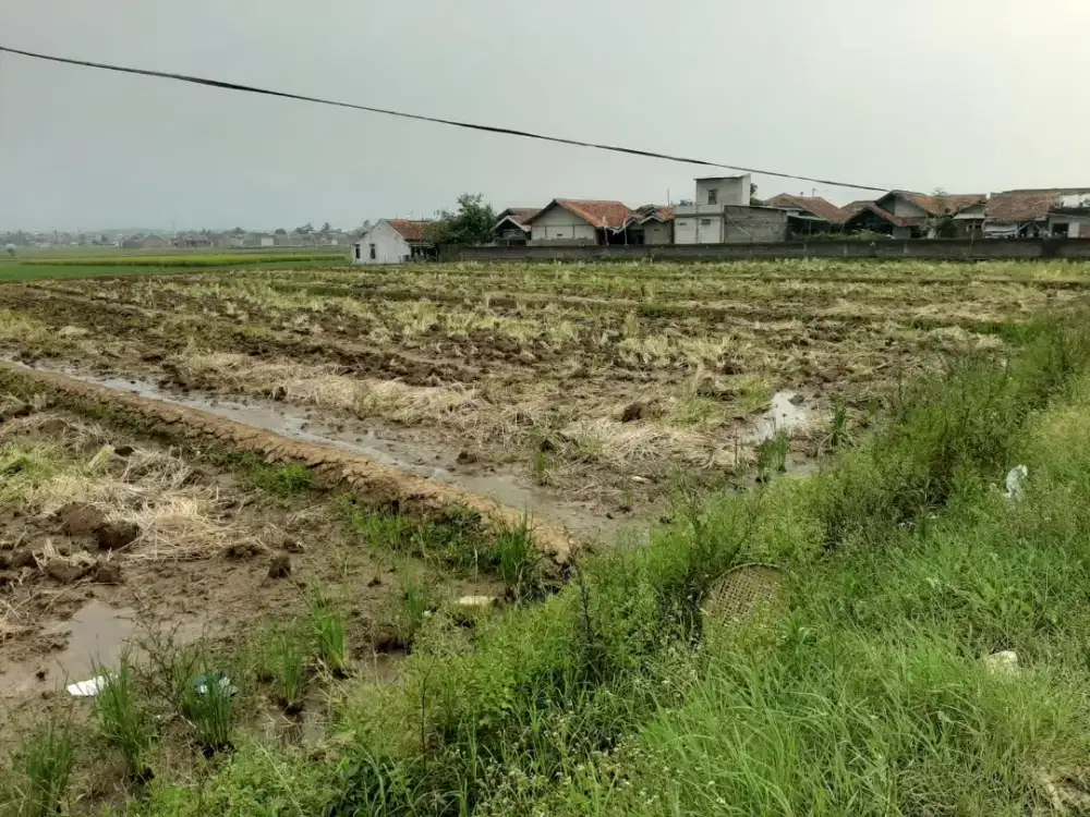 Jual Tanah Sawah Banjaran
